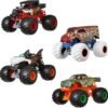 HOT WHEELS MONSTER TRUCK 1:24 ASS. FYJ83