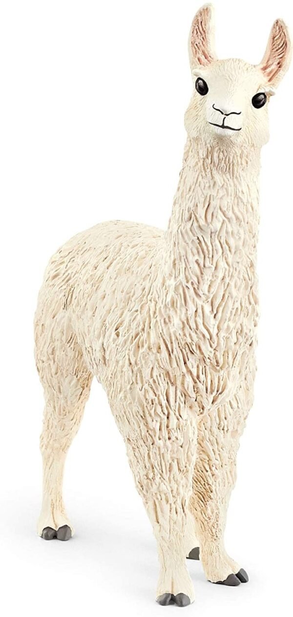 LAMA