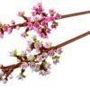 Lego flowers fiori di ciliegio 40725