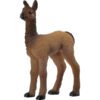 Llama Foal