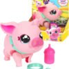 LLP PIGGLY 26366