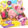 LLP PIGGLY 26366