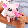 LLP PIGGLY 26366