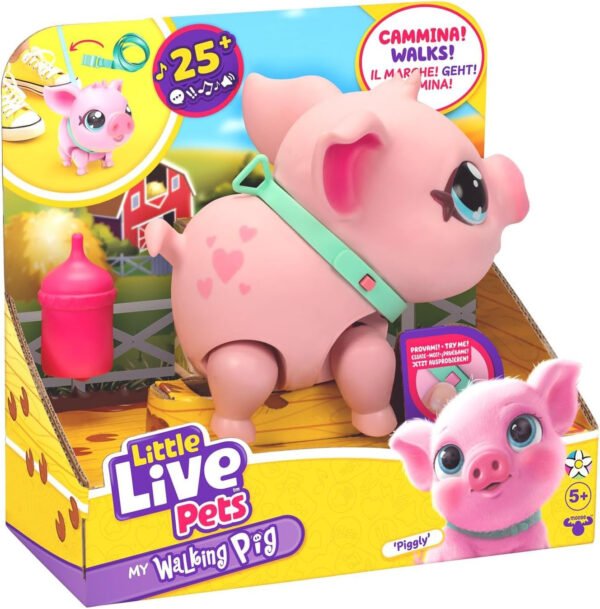 LLP PIGGLY 26366