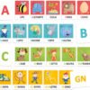 Maxi Flashcards Montessori Alfabeto Suoni e Lettere
