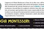 MONTESSORI PLUS TOMBOLA TATTILE DEGLI ANIMALI