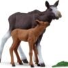 Moose Family