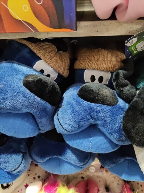 MOPPINA CAGNOLINI SJ GANG SJ GANG