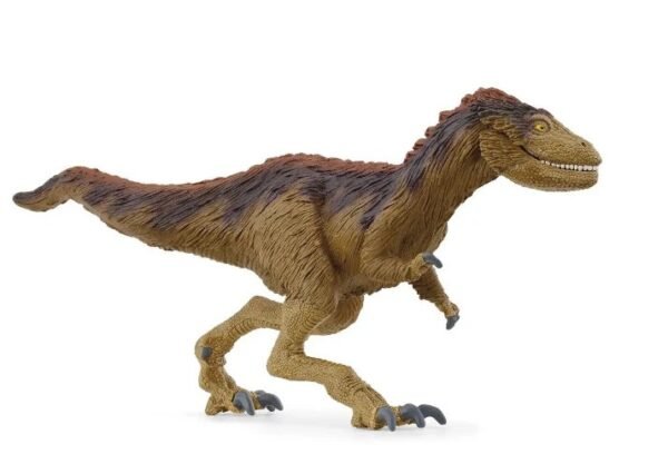 Moros Intrepidus