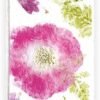 MULTIATTIVITA CON UN PRESSA-FIORI