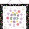 MULTIATTIVITA CON UN PRESSA-FIORI