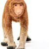 NASICA