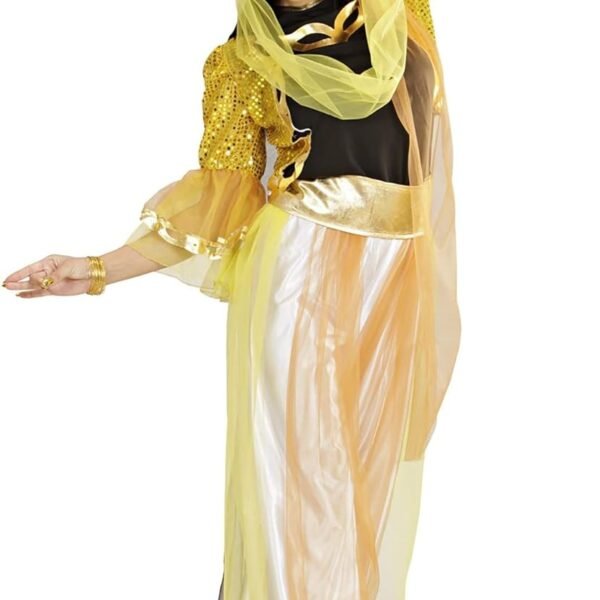 odalisca-camicia-giacca-in-paillettes-pantaloni-con-veli-cintura-copricapo-con-veli.jpg "ODALISCA" (camicia, giacca in paillettes, pantaloni con veli, cintura, copricapo con veli)