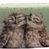 Owl Glasses Case - Owlets