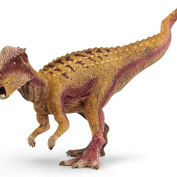 pachycephalosaurus.jpg PACHYCEPHALOSAURUS