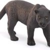 Pantera nera
