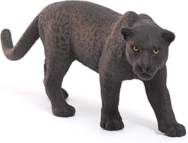 Pantera nera