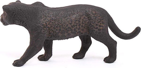 Pantera nera