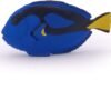 Papo - Surgeonfish