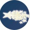 Stelle