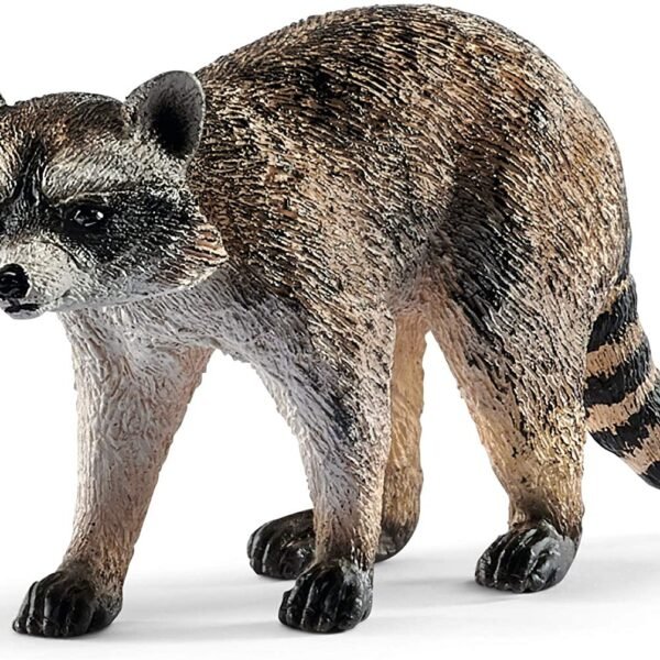 procione.jpg PROCIONE