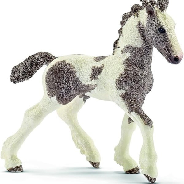 puledro-tinker.jpg Puledro Tinker