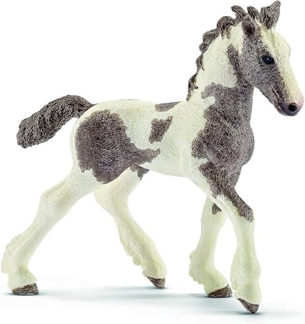 Puledro Tinker