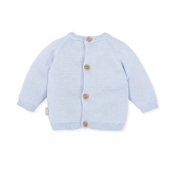 PULLOVER AZZURRO 18.M