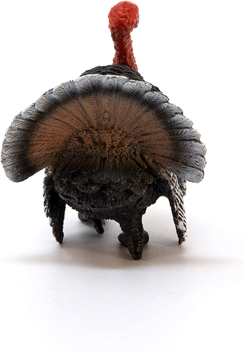 PV0105-13900 - Turkey - immagine 2