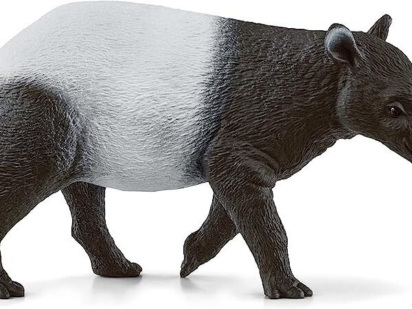 PV0105-14850 - Tapir