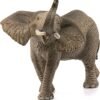 PV0108-14762 -African elephant, male