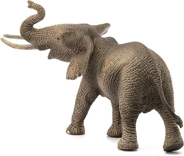 PV0108-14762 -African elephant, male