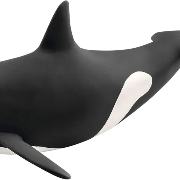 pv0108-14807-killer-whale.webp PV0108-14807 - Killer Whale