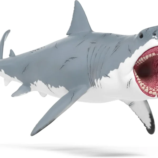 pv010815055-megalodon.webp PV010815055 Megalodon