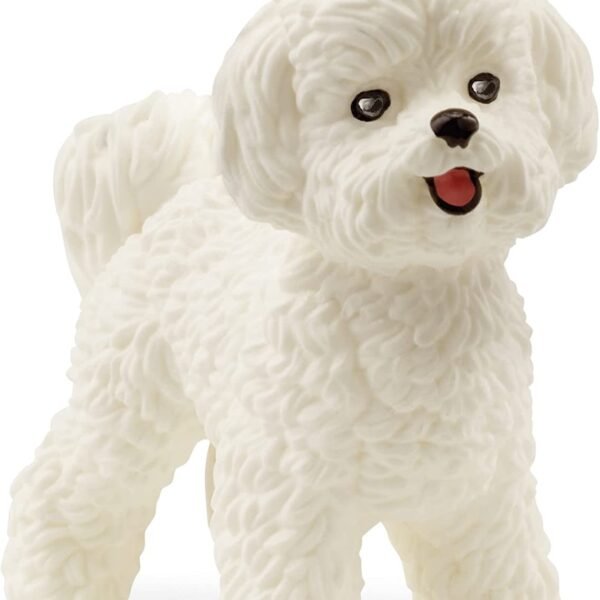 pv0115-13963-bichon-frise.jpg PV0115-13963 -
Bichon Frise