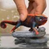 PV0115-14858 -
Chameleon