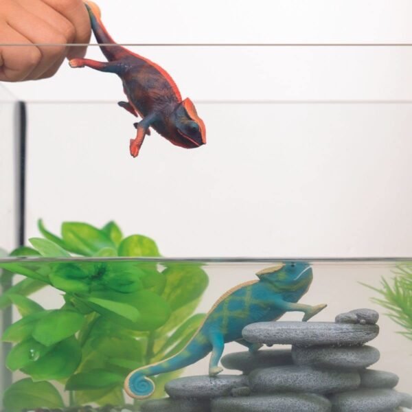 PV0115-14858 -
Chameleon