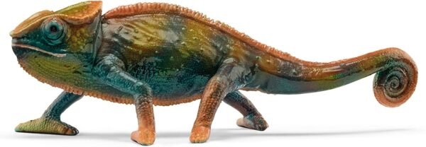 PV0115-14858 -
Chameleon