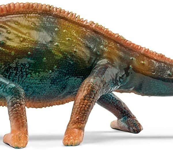 pv0115-14858-chameleon.jpg PV0115-14858 -
Chameleon