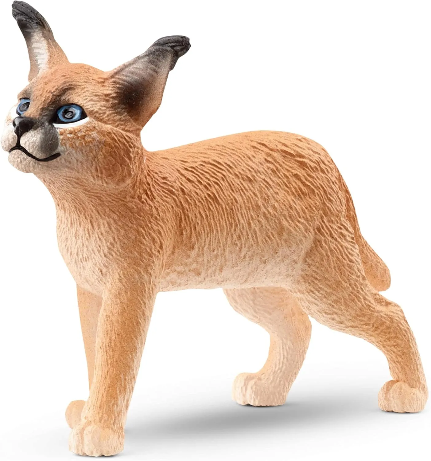 PV0115-14868 - Caracal cub