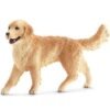 PV0403-16395 - Golden
Retriever, female