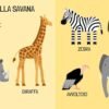Q-BOX - GLI ANIMALI - ITALIANO FUORINORMA DI MATTEO GAULE