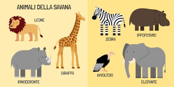 Q-BOX - GLI ANIMALI - ITALIANO FUORINORMA DI MATTEO GAULE
