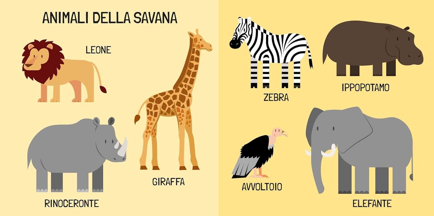 Q-BOX - GLI ANIMALI - ITALIANO FUORINORMA DI MATTEO GAULE - immagine 3