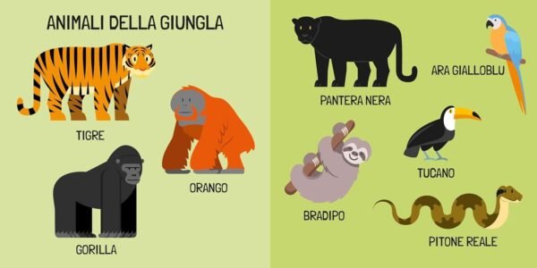 Q-BOX - GLI ANIMALI - ITALIANO FUORINORMA DI MATTEO GAULE