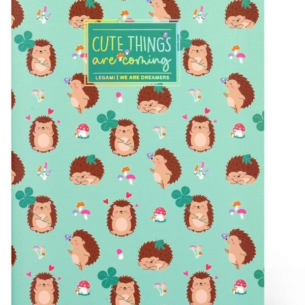 QUADERNO A RIGHE -
QUADERNO - LARGE -
HEDGEHOG