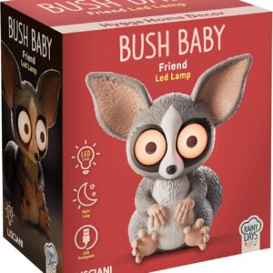 LUNCH BOX LETS PLAY