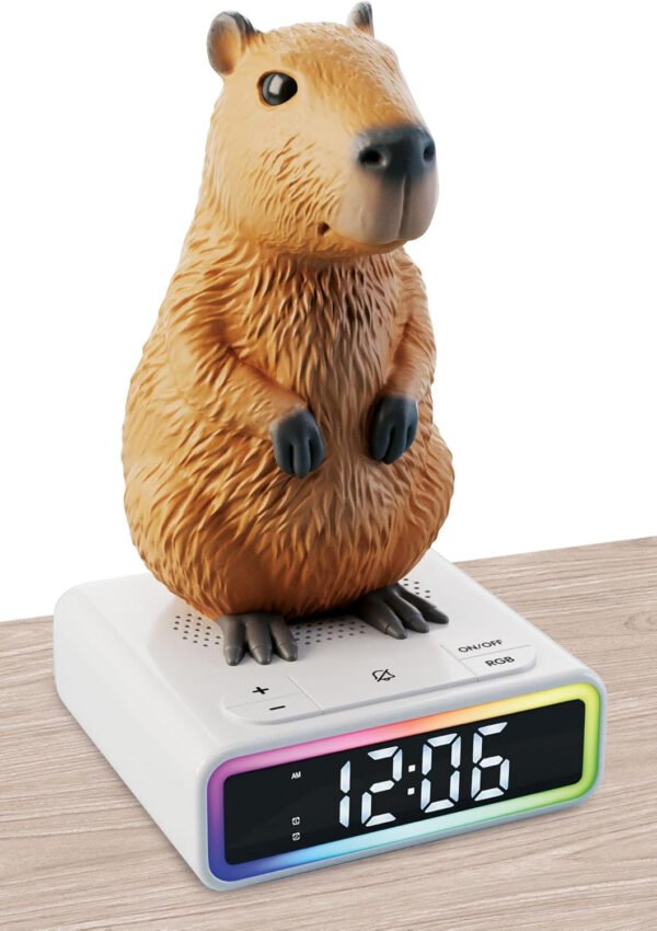 RAINY DAYS CAPIBARA