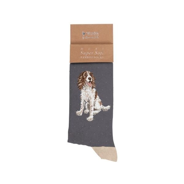 spaniel-men-s-sock-willow.jpg Spaniel Men's Sock - Willow