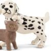 Studio veterinario con animali domestici